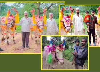 Bail-Pola-Festival-2022