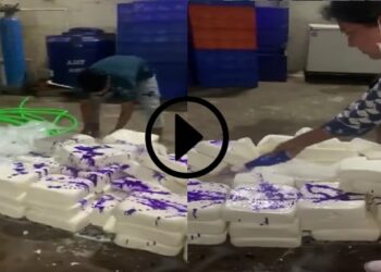 Fake-Paneer-Stock-Seized