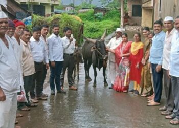 Lumpy-Skin-Free-Vaccination