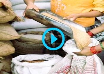 Distribution-of-Ration-Grains