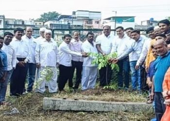 Plantation-Of-Native-Trees