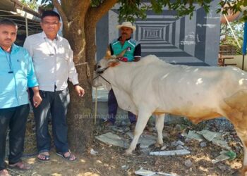 Free-veterinary-camp