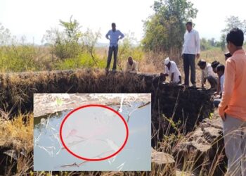 Woman-Dead-Body-Found-In-Well