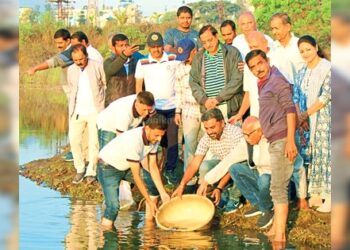 Plantation-Of-Fish-Seeds