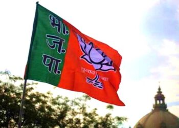 bjp-party-flag