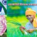 pm-kisan-samman-nidhi-yojana