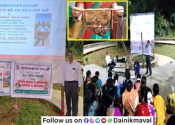 Free-Beekeeping-Training-Camp