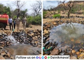 Water-hole-for-wildlife