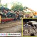 pune-Navale-Bridge-Accident