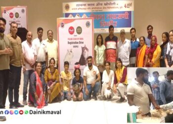 pet-cat-registration-camp