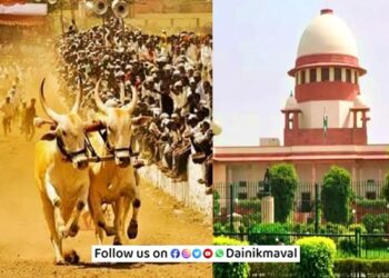 Bailgada-Sharyat-Bullock-Cart-Races