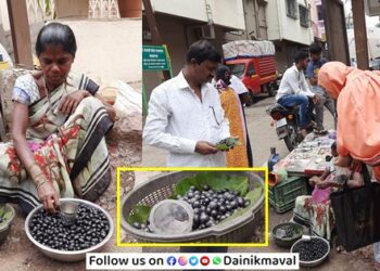 mountain-black-current-karwand