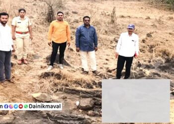 bull-died-leopard-attack