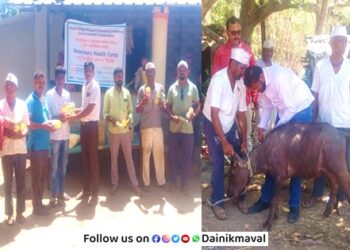 Veterinary-Health-Camp