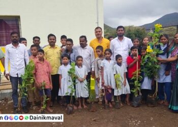 distribution-of-grocery-grains
