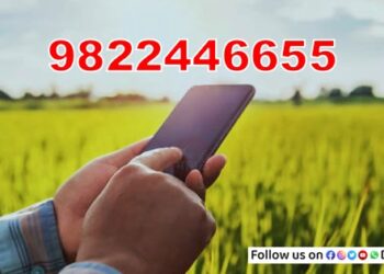WhatsApp-Number-For-Farmer