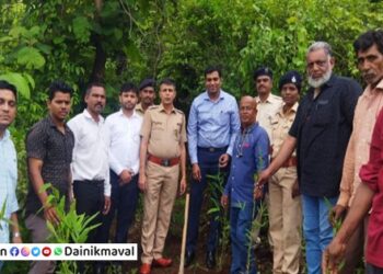 planting-bamboo-trees