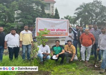 Medicinal-Plants-Planted