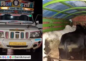 Shivshankar-Swami-Shiva