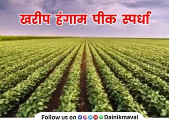 Kharif-Season-Crop-Competition