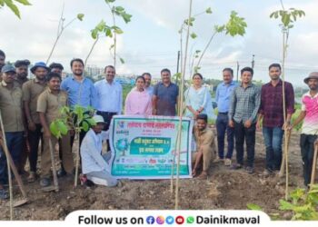 tree-plantation