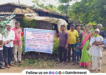 mango-seedlings-Distribute