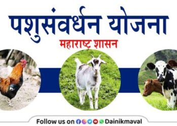 Department-of-Animal-Husbandry