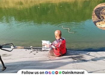 Khopoli-Snake-Rescuers