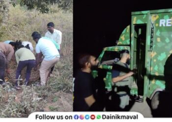 life-to-Sambhar-deer