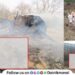 Cowshed-Fire-Maval-Taluka