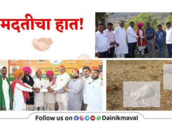 financial-help-to-shepherd