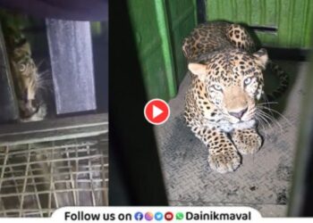 Pune-Katraj-Park-Leopard-Update