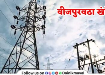 Mahavitaran-Electricity-Supply