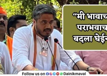 mla rohit pawar on parth pawar