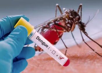 Dengue