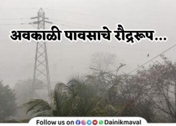 unseasonal rain in Maval taluka