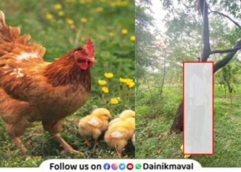 Husband committed suicide