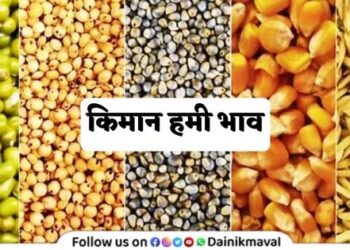 msp minimum guaranteed price