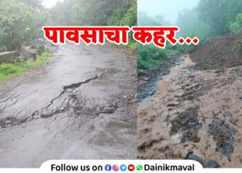 Cracks fell on road