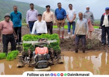 Rice cultivation started in Maval taluka by machine