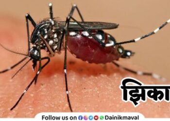 Zika virus infection