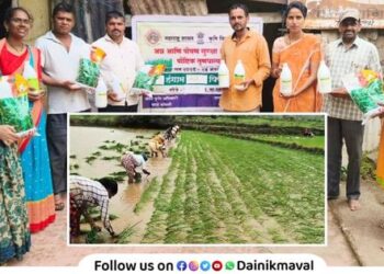 Charsutri Method Rice Cultivation