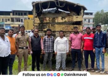 Cow guards succeed in saving cows