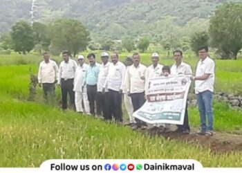 Karpa diseases on rice crop