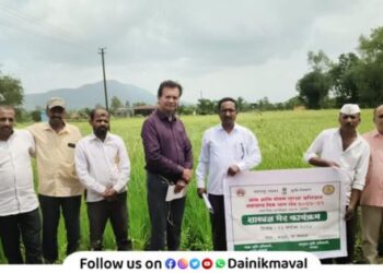 Kada Karpa disease on paddy cultivation