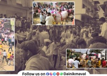 Bail Pola Festival Maval