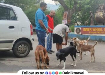 Vaccination of more than 700 dogs in Khopoli