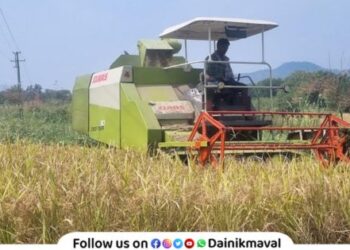 Paddy harvesting started with help of machine in maval taluka