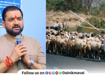 MLA Sunil Shelke accused of insulting Dhangar community Read true situation Maval Vidhan Sabha