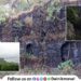 Visapur Fort in Maval Taluka fort needs to be restored